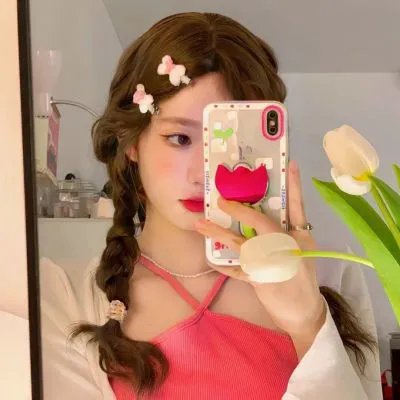 寻芳浪蝶